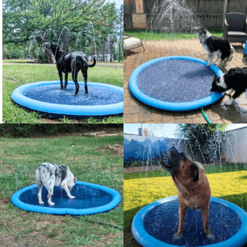 Seurico™ SplashPad