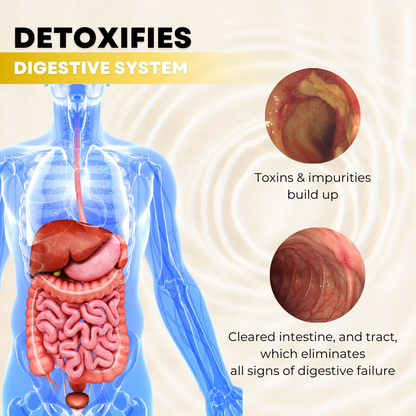 🎉Pre-Black Friday Deals 50% Off CalmBelly Digestive Relief Oil