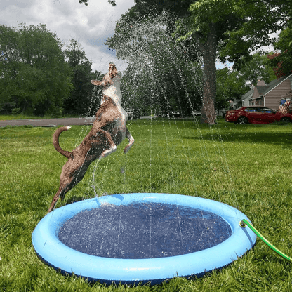 Seurico™ SplashPad