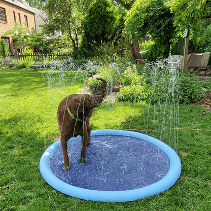 Seurico™ SplashPad