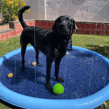 Seurico™ SplashPad