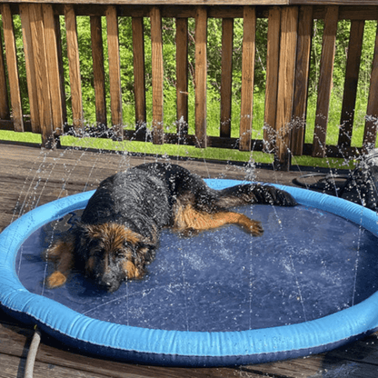 Seurico™ SplashPad