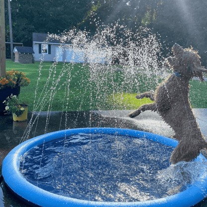 Seurico™ SplashPad